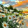 a.yekaterina_