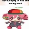 miqayq