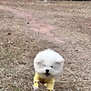 zheng_92406
