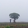 Sami_intpal