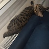 Lonel_12