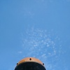bimo_72569