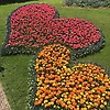 aziz_62969