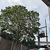 daril_52543