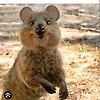 glori_56325