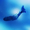 coraline_63317