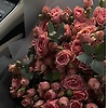 yasmine_46232