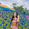 sasa_71943