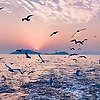 liangmu_71857