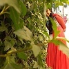 06Jessica_J