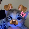 casaa_27989