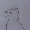 fatima_15854