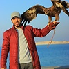 MahmoudGamal