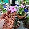 runa_28928