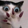 Maxthevamp