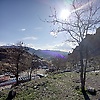 cihan_57187