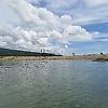 naimul_23007