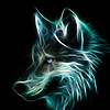 wildwolf0809