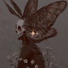 Owl_dream