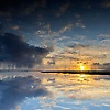 lam_37254