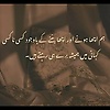 aisha_95598