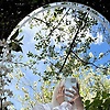 emy_22962