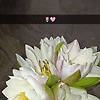 mayaa_89409