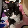 lily_67227