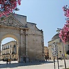 aimch_47492