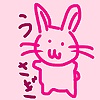 rabbit_55756