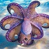 OctopusSubite