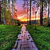 mateo_16993