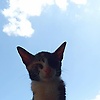 suniah_57713