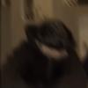 alpha_41970