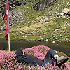 aayus_25874
