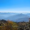 ashish_36896