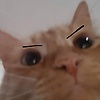 Franco_999