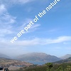 adiba_38940