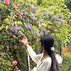 nira_37807