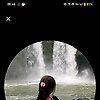 caca_74971