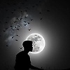 king_40412