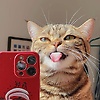 tyla_43002