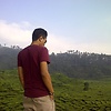 ronee