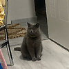 cem_15657