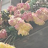 user_152140