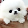 culturelov_93279