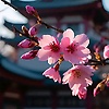 lulu_20978