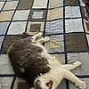 james_67752