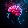 shayan_43115