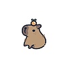 SleepyCapybara